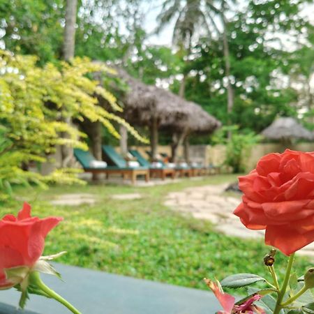 Marari Beach Bungalow Resort Alleppey Марарикулам Екстериор снимка