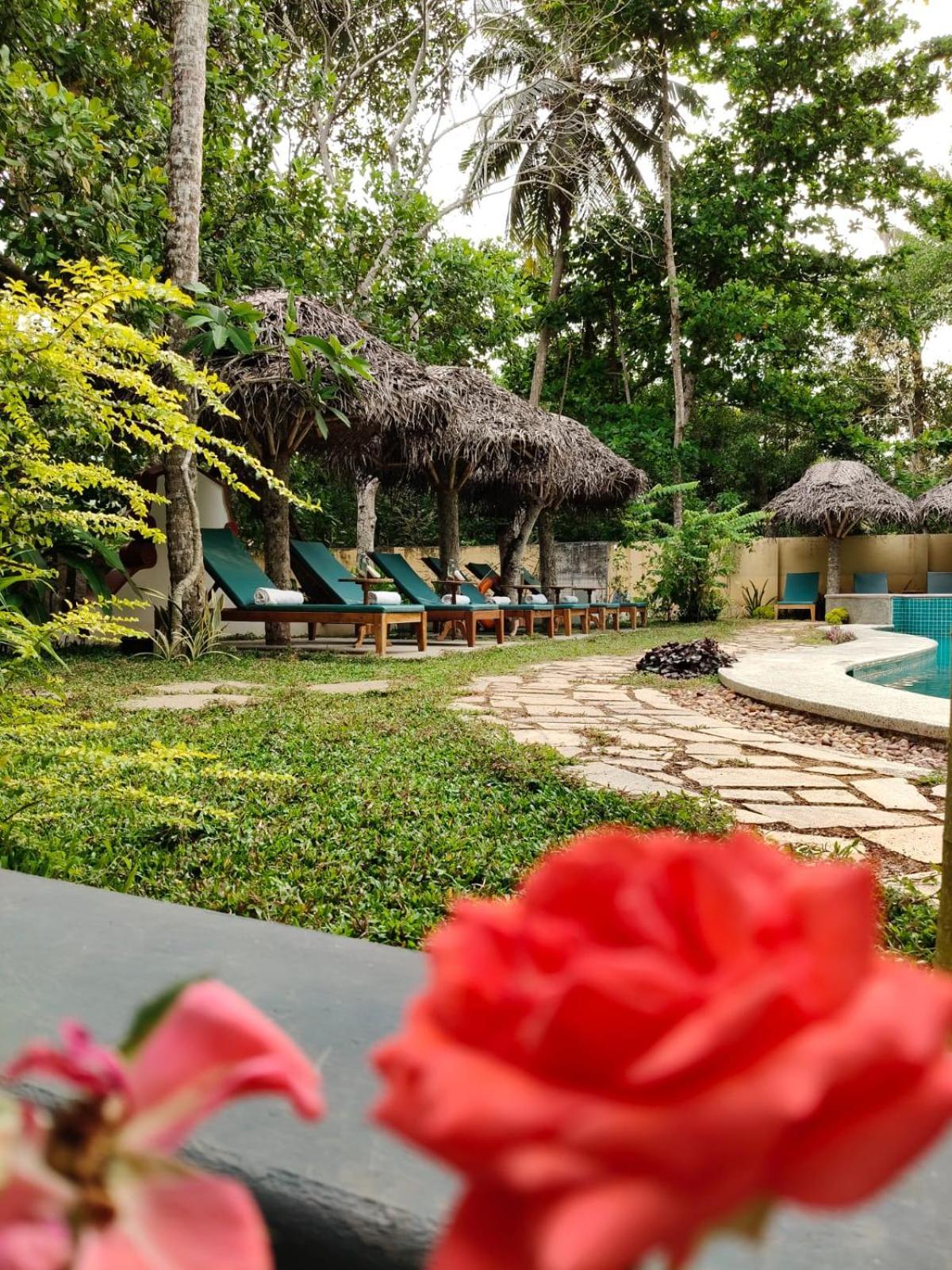 Marari Beach Bungalow Resort Alleppey Марарикулам Екстериор снимка