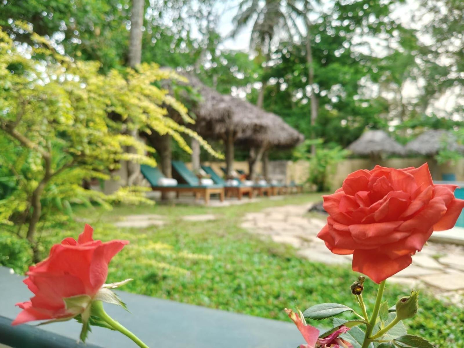 Marari Beach Bungalow Resort Alleppey Марарикулам Екстериор снимка
